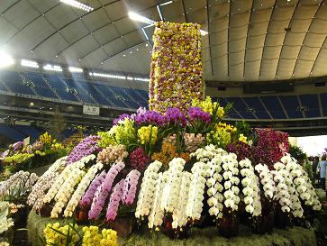 IMG_3146m.JPG