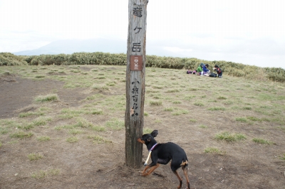 DSC00645.jpg
