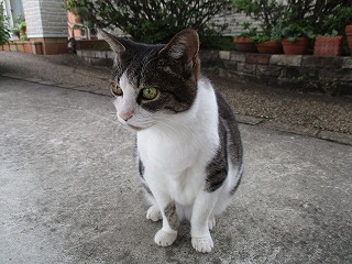 IMG_5505ss.jpg