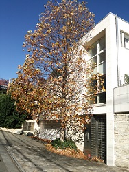 DSC_4495-19.jpg