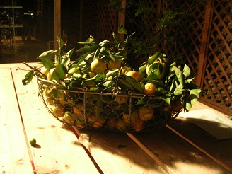 DSCN9889.JPG