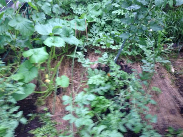 rblog-20160626204835-03.jpg