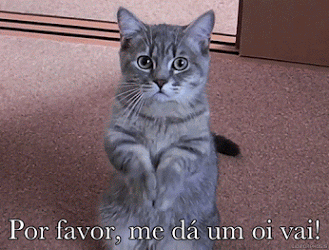 16 - 1ssswswq.gif