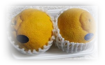 デコポン