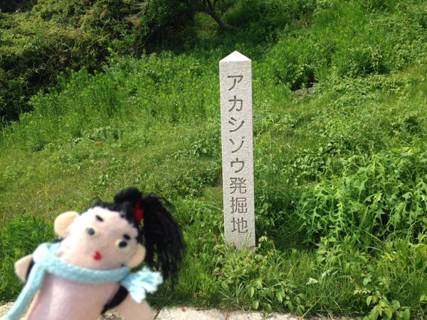 rblog-20180821121007-01.jpg
