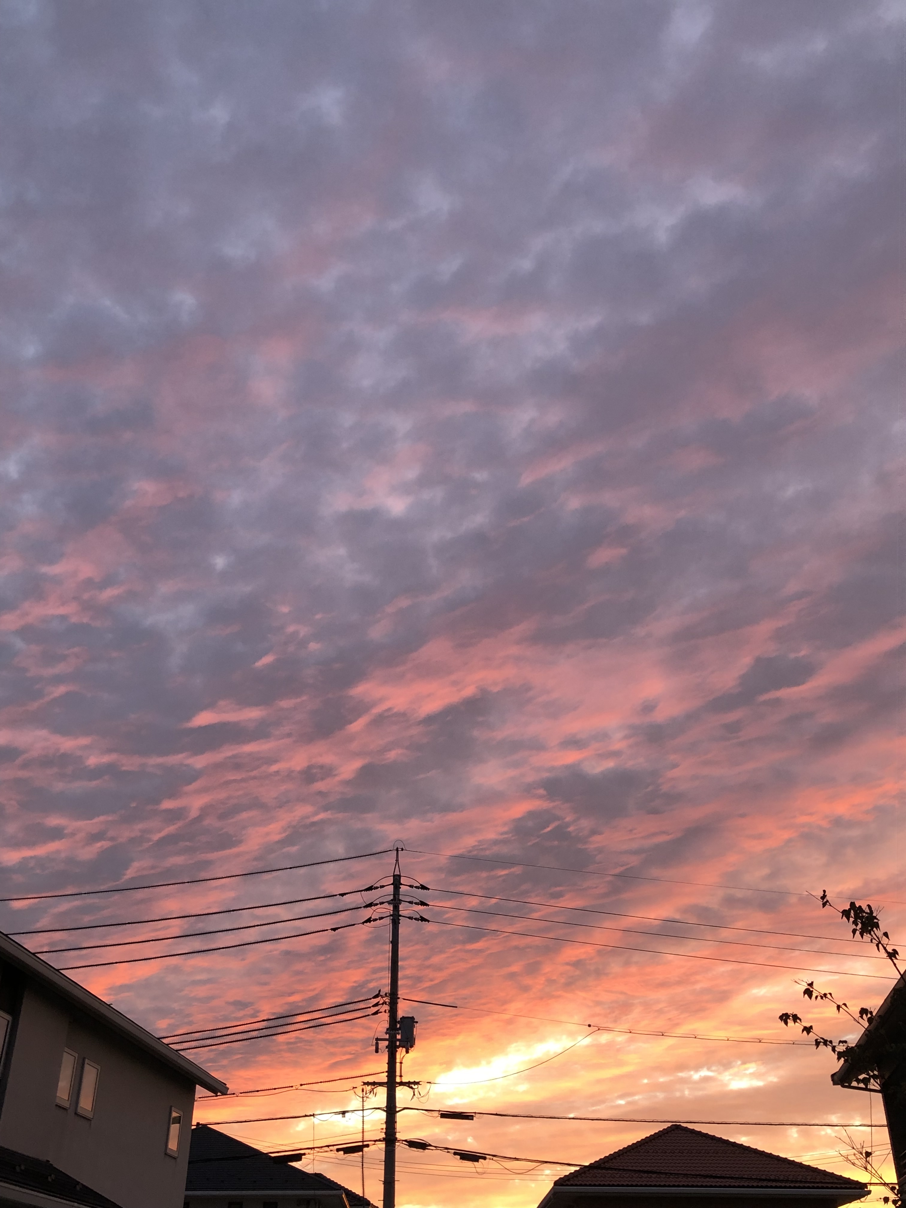 気ままにのんびりブログ