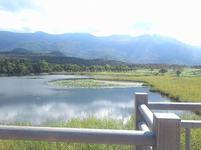 2012-10-07 10.48.50.jpg