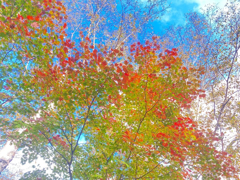 醍醐山と下部（しもべ）温泉