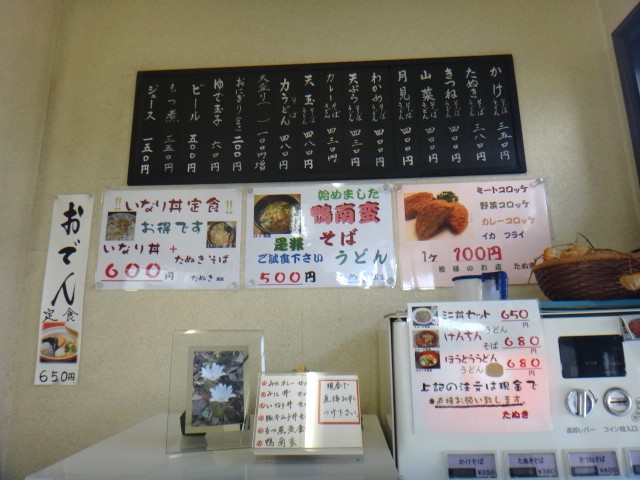 たぬき