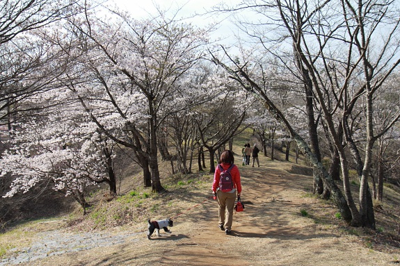 150419_21.jpg