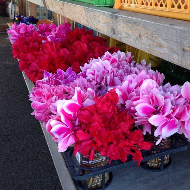 rblog-20130130231723-02.jpg
