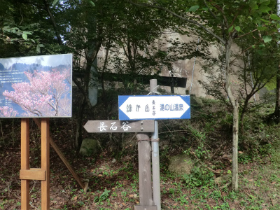 CIMG1539.jpg