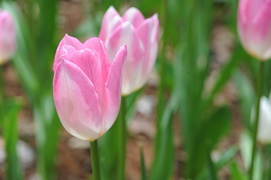 2011.4.29 020.JPG