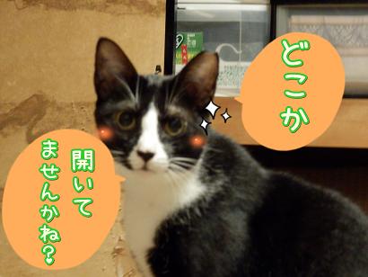 開いてませんかね.JPG