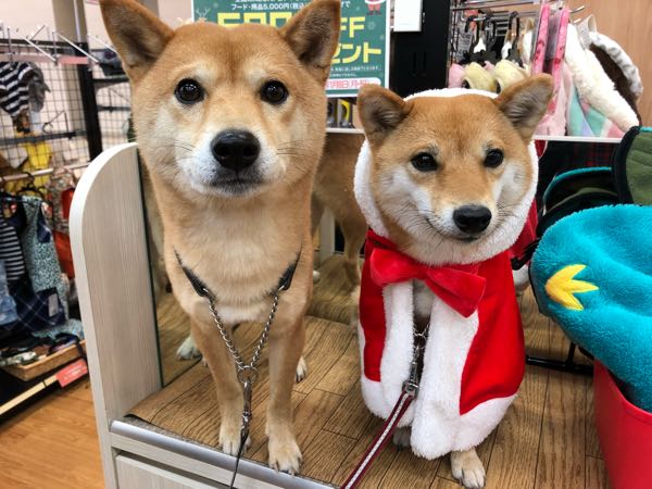 rblog-20171225101044-02.jpg