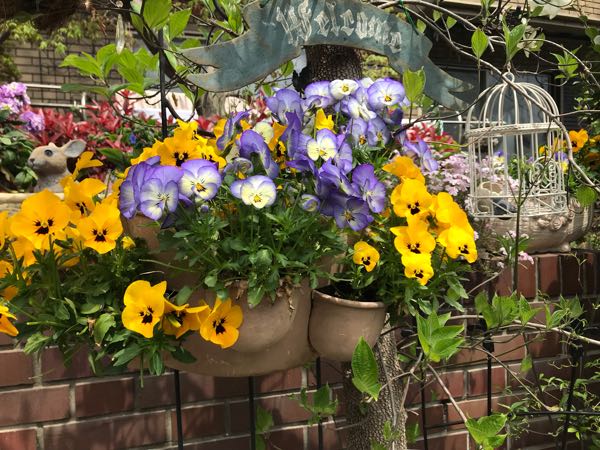 rblog-20190421190411-01.jpg