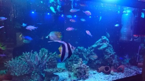 rblog-20170423170027-03.jpg
