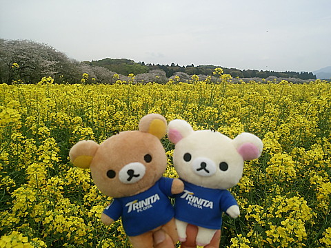 IMG_20160409_114030.jpg