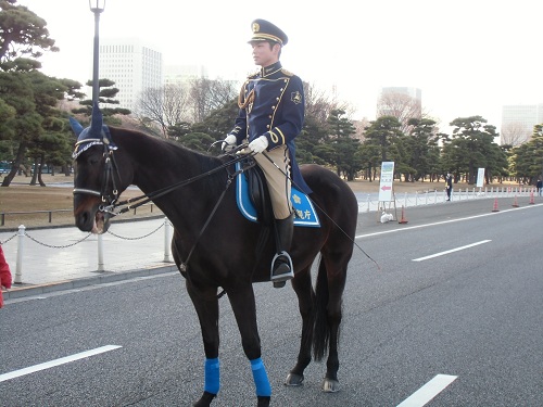 平成25年1月2日 005.JPG