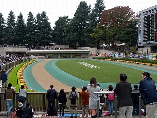 パドック３.jpg