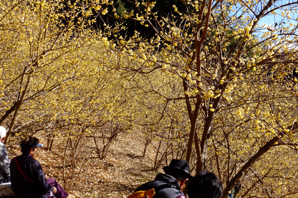 DSCF6458.jpg