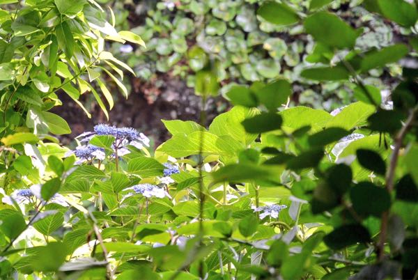 rblog-20170613191637-04.jpg