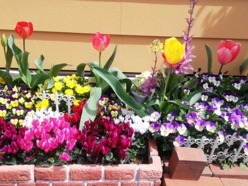 rblog-20190405160312-02.jpg