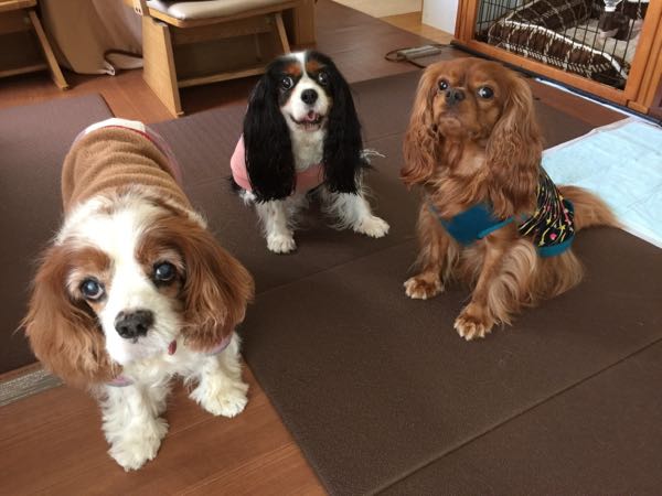 rblog-20161122101154-02.jpg