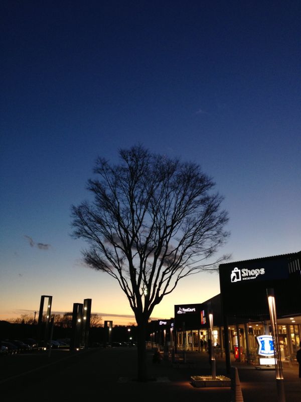 rblog-20131215171056-00.jpg