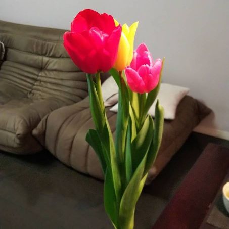 rblog-20190105213317-05.jpg