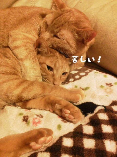 ﾛｯｸされてる！