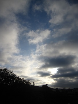 IMG_2473.JPG