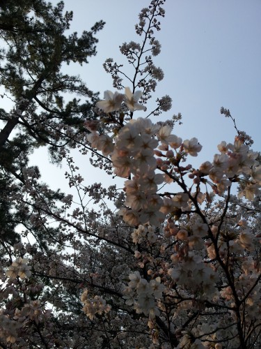 20120408_170356.jpg