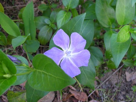 DSCN9877.JPG
