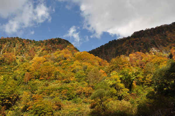 称名滝　紅葉