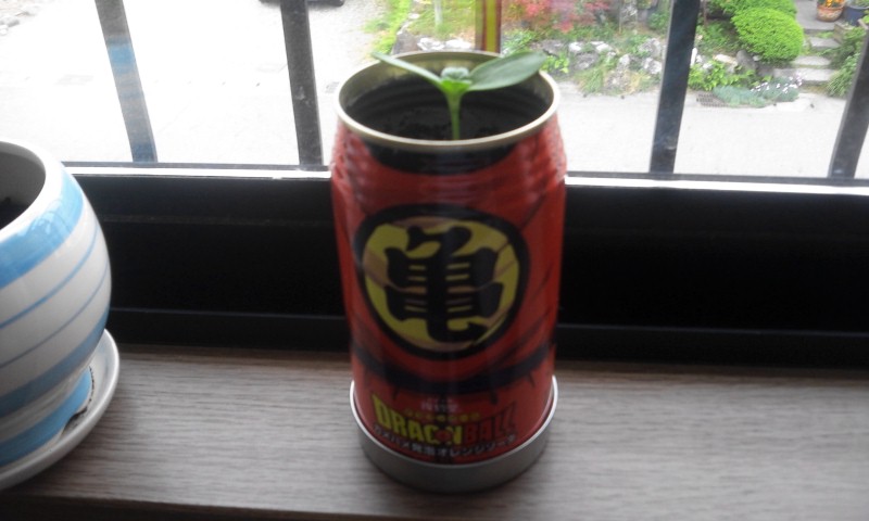 2012-05-24 08:43:08