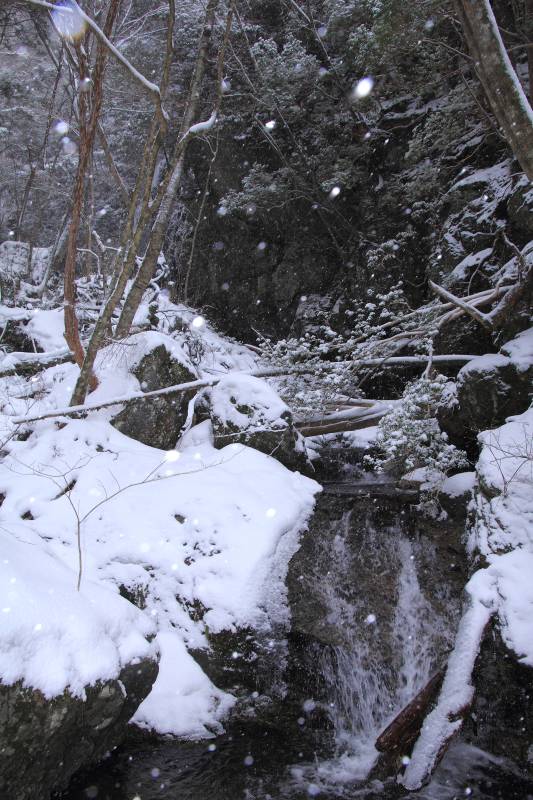 川上村_004.jpg
