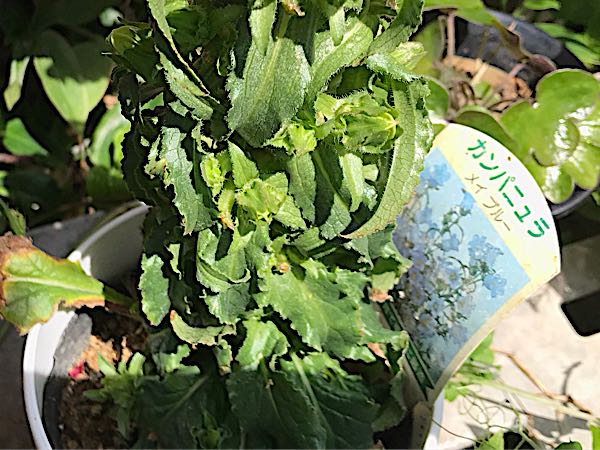rblog-20190423181829-07.jpg