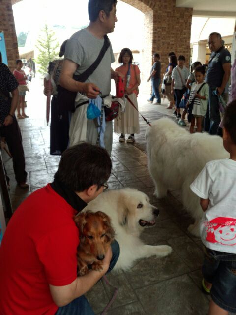 rblog-20140622151027-02.jpg