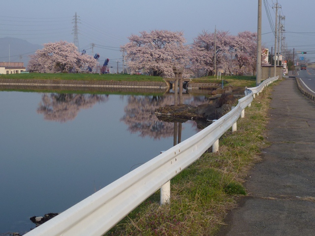 P1000320 - コピー.JPG