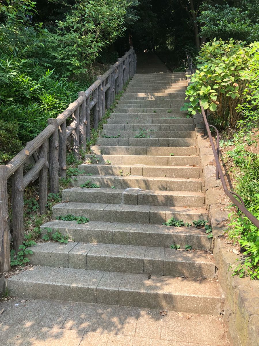 多摩川台公園階段5往復 東京都大田区 ニッポンのオッさんがいろいろ運動やってみたことのご報告 楽天ブログ