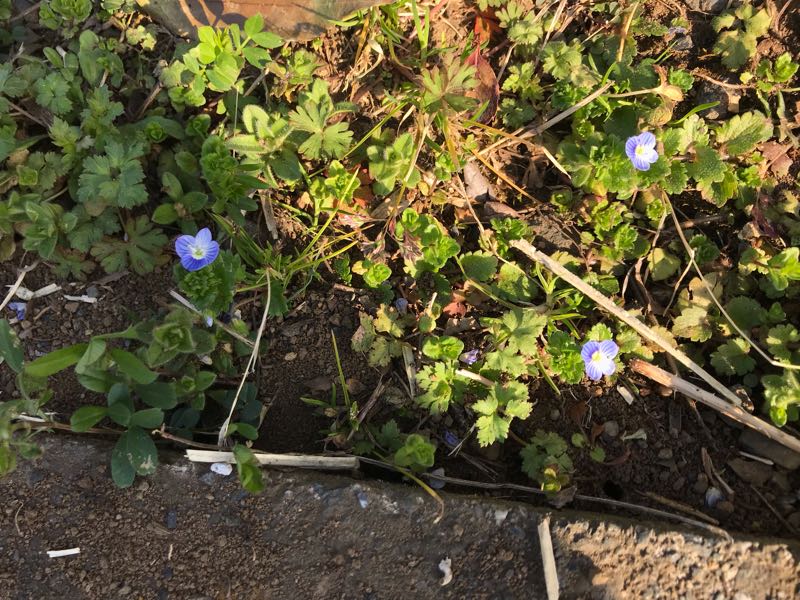 rblog-20190320171306-03.jpg