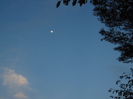 IMG_9677.JPG