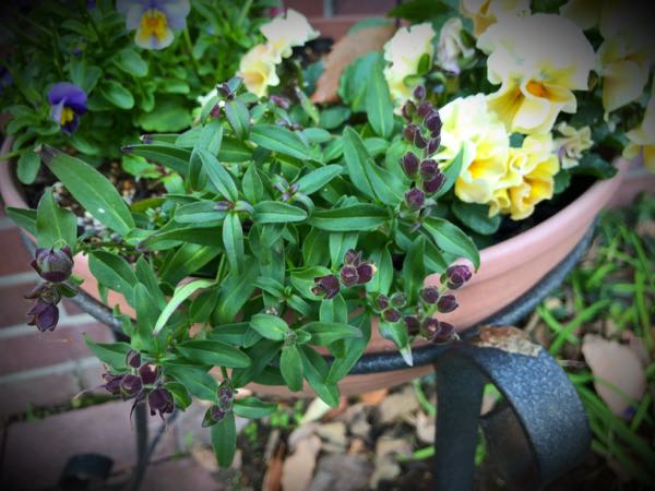 rblog-20161231163703-08.jpg