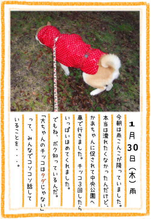 0130朝1.jpg