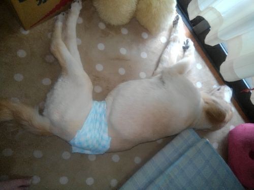 rblog-20180118170129-01.jpg