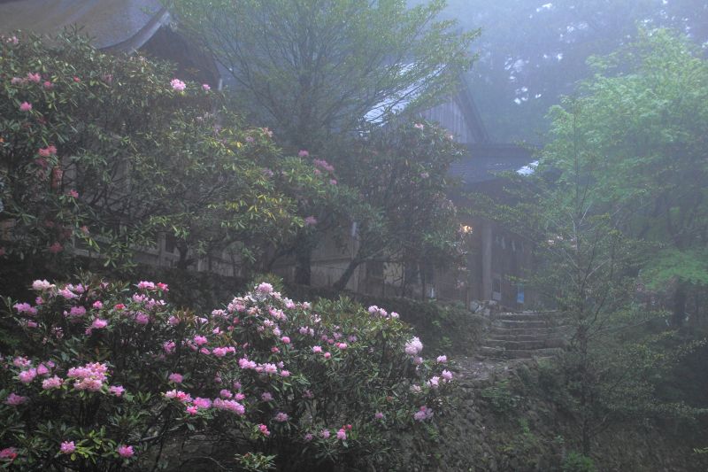 玉置神社_002.jpg