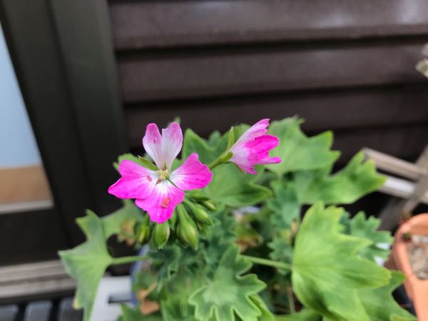 rblog-20190426180311-06.jpg