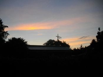 021.gif
