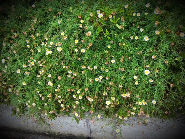 rblog-20160828185821-09.jpg